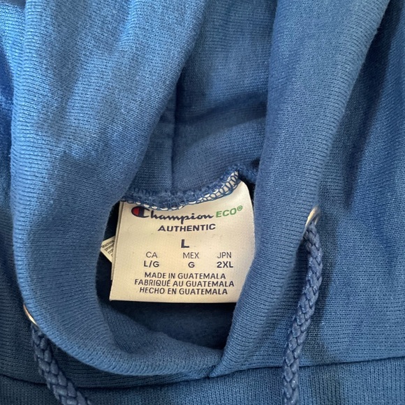 Blue Sencha Champion Hoodie - Picture 3 of 4